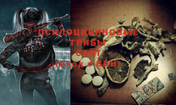 ECSTASY Пестово