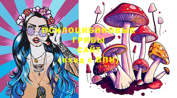 эйфоретик Пересвет